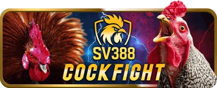 Máy Đánh bạc PP88 Code